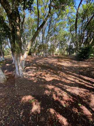Imagem Imóvel com 2 Quartos à Venda, 200 m² em Distrito Esperito Santo - Londrina