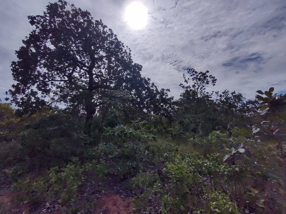 Imagem Fazenda à Venda, 75 m² em Uberlândia Imagem Fazenda à Venda, 75 m² em Uberlândia