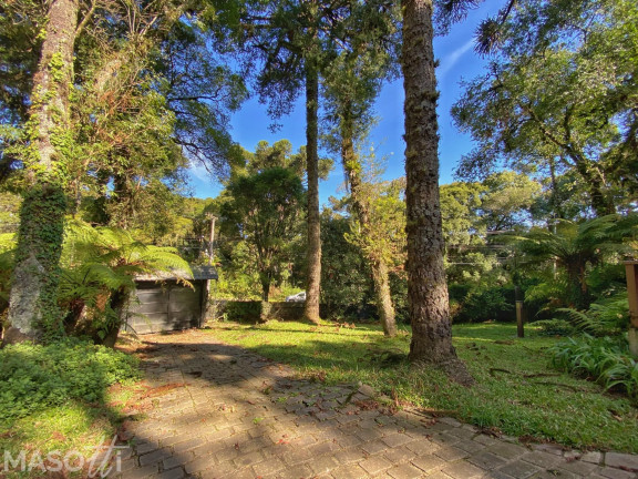 Imagem Casa com 3 Quartos à Venda, 35.747 m² em Bosque Sinoserra - Canela Imagem Casa com 3 Quartos à Venda, 35.747 m² em Bosque Sinoserra - Canela