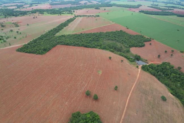 Imagem Fazenda à Venda, 60 m² em Zona Rural - Morrinhos Imagem Fazenda à Venda, 60 m² em Zona Rural - Morrinhos