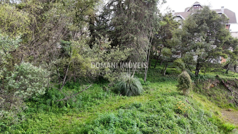Imagem Terreno à Venda, 2.540 m² em Região De Capivari - Campos Do Jordão Imagem Terreno à Venda, 2.540 m² em Região De Capivari - Campos Do Jordão