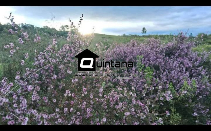 Imagem Imóvel com 2 Quartos à Venda, 90.000 m² em 4º Distrito - Canguçu