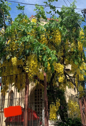 Imagem Casa com 3 Quartos à Venda, 130 m² em Vila Pompéia - São Paulo Imagem Casa com 3 Quartos à Venda, 130 m² em Vila Pompéia - São Paulo