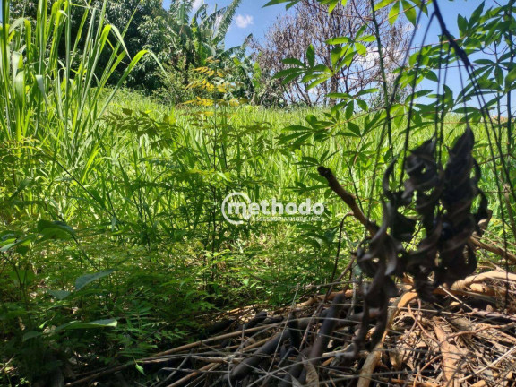 Imagem Terreno à Venda, 385 m² em Jardim Guarani - Campinas Imagem Terreno à Venda, 385 m² em Jardim Guarani - Campinas