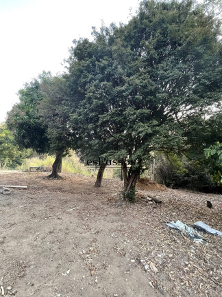 Imagem Chácara à Venda, 33.300 m² em Gameleira - Florestal