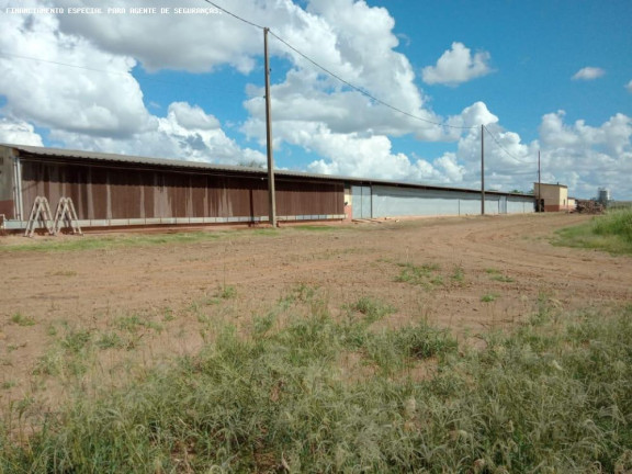 Imagem Chácara com 4 Quartos à Venda, 70.180 m² em Zona Rural - Flórida Imagem Chácara com 4 Quartos à Venda, 70.180 m² em Zona Rural - Flórida