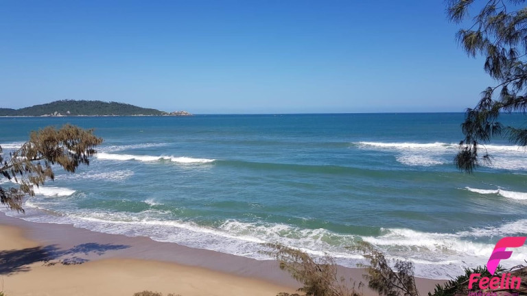 Imagem Chácara com 16 Quartos à Venda, 590 m² em Rio Tavares - Florianópolis