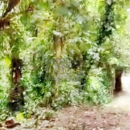 Imagem Terreno à Venda, 1.432 m² em Figueira (pé Da Serra) - Ubatuba Imagem Terreno à Venda, 1.432 m² em Figueira (pé Da Serra) - Ubatuba