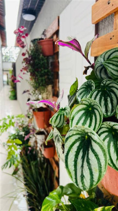 Imagem Casa com 2 Quartos à Venda, 49 m² em Maracanã - Praia Grande