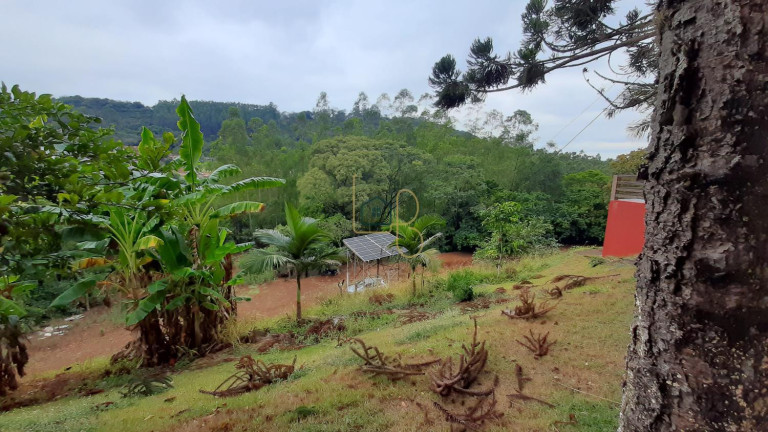 Imagem Chácara com 2 Quartos à Venda, 17.242 m² em Chácaras São Miguel - Londrina