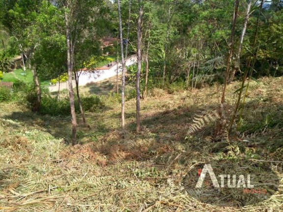 Imagem Terreno à Venda, 1 m² em Terra Preta - Mairiporã Imagem Terreno à Venda, 1 m² em Terra Preta - Mairiporã