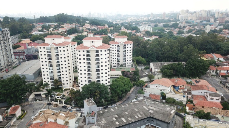 Imagem Apartamento com 3 Quartos à Venda, 75 m² em Jardim Peri Peri - São Paulo Imagem Apartamento com 3 Quartos à Venda, 75 m² em Jardim Peri Peri - São Paulo