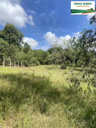 Imagem Chácara com 3 Quartos à Venda, 160 m² em Montenegro