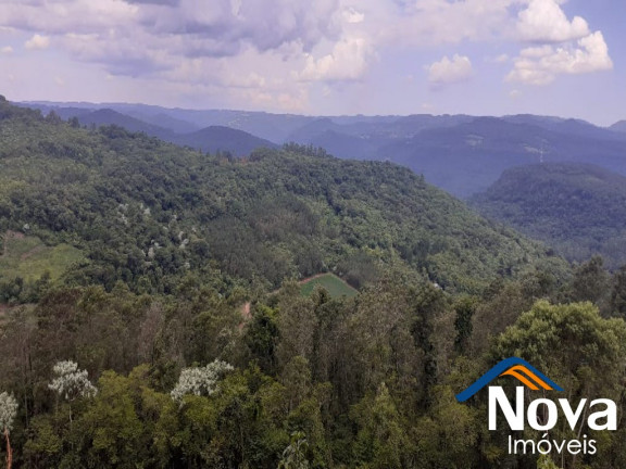 Imagem Imóvel à Venda,  em Linha Olinda - Nova Petrópolis