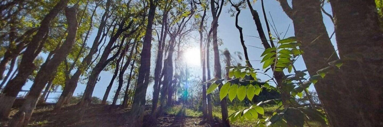 Imagem Chácara com 3 Quartos à Venda, 26.000 m² em Jardim Vista Alegre - Bragança Paulista Imagem Chácara com 3 Quartos à Venda, 26.000 m² em Jardim Vista Alegre - Bragança Paulista