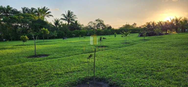 Imagem Chácara com 2 Quartos à Venda, 14.600 m² em Povoado - Pedras De Fogo