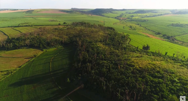Imagem Terreno à Venda, 630 m² em Vila Do Golf - Ribeirão Preto Imagem Terreno à Venda, 630 m² em Vila Do Golf - Ribeirão Preto