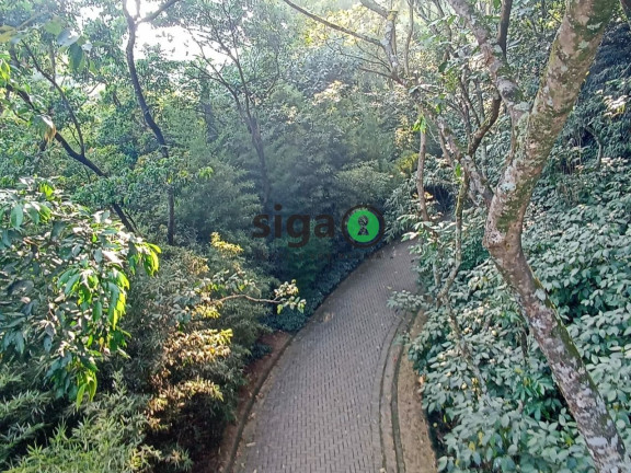 Imagem Apartamento com 4 Quartos à Venda, 255 m² em Panamby - São Paulo Imagem Apartamento com 4 Quartos à Venda, 255 m² em Panamby - São Paulo