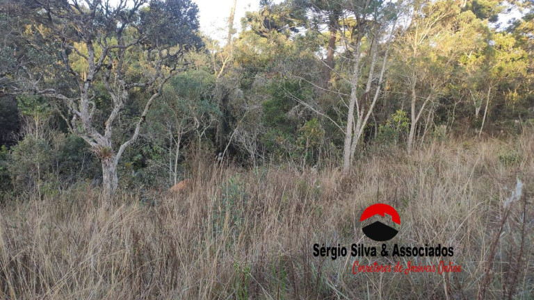 Imagem Terreno à Venda, 906 m² em Campos Do Jordão Imagem Terreno à Venda, 906 m² em Campos Do Jordão