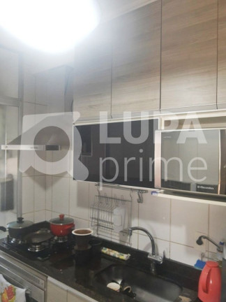 Imagem Apartamento com 3 Quartos à Venda, 65 m² em Vila Maria Alta - São Paulo Imagem Apartamento com 3 Quartos à Venda, 65 m² em Vila Maria Alta - São Paulo