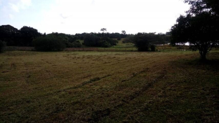 Imagem Chácara à Venda, 5.536 m² em águas Claras - Viamão Imagem Chácara à Venda, 5.536 m² em águas Claras - Viamão