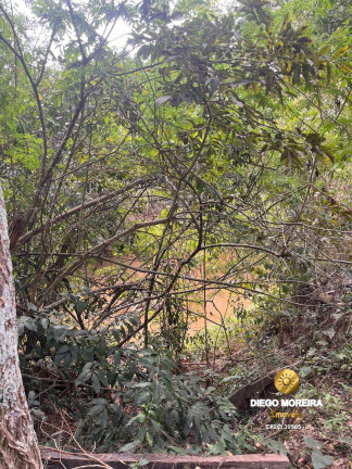 Imagem Terreno à Venda, 6.400 m² em Batatuba - Piracaia