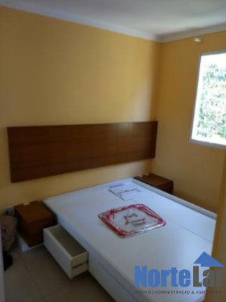 Imagem Apartamento com 3 Quartos à Venda, 60 m² em Vila Jaraguá - São Paulo