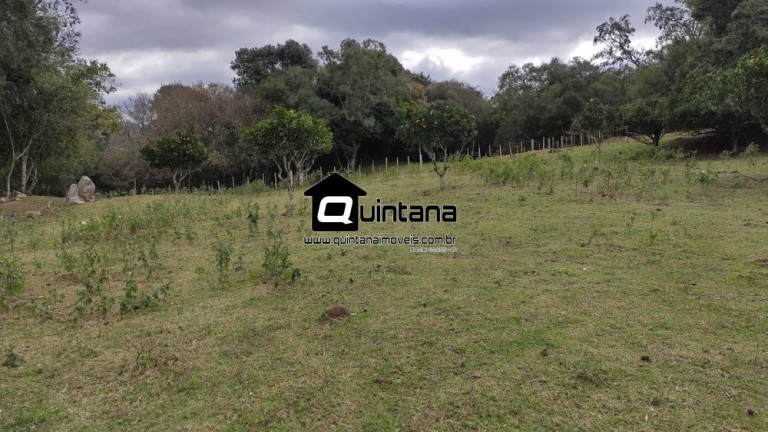 Imagem Imóvel com 4 Quartos à Venda, 80.000 m² em Colônia Santa Maria - Pelotas