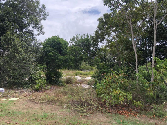 Imagem Terreno à Venda, 700 m² em Praia Do Forte - Mata De São João Imagem Terreno à Venda, 700 m² em Praia Do Forte - Mata De São João