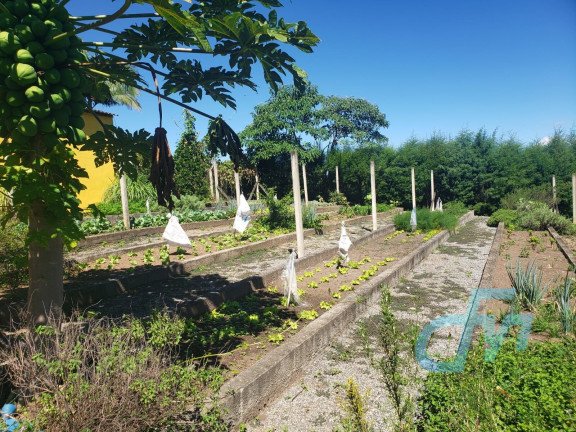 Imagem Imóvel com 4 Quartos à Venda, 36.000 m² em Itapeti - Mogi Das Cruzes Imagem Imóvel com 4 Quartos à Venda, 36.000 m² em Itapeti - Mogi Das Cruzes