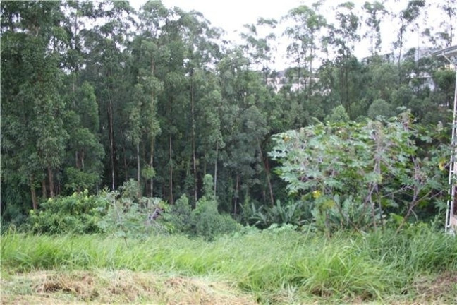 Imagem Terreno à Venda, 1.735 m² em Tambore 01 - Alphaville Imagem Terreno à Venda, 1.735 m² em Tambore 01 - Alphaville