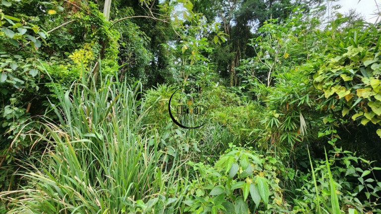 Imagem Imóvel à Venda, 7.870 m² em Chácaras Do Guacuri - Itupeva Imagem Imóvel à Venda, 7.870 m² em Chácaras Do Guacuri - Itupeva