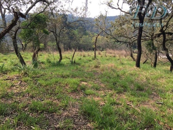 Imagem Terreno à Venda, 44.000 m² em Terra Preta (terra Preta) - Mairiporã Imagem Terreno à Venda, 44.000 m² em Terra Preta (terra Preta) - Mairiporã