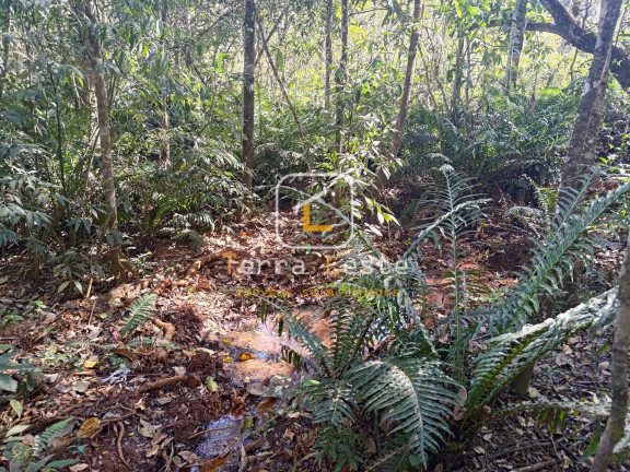 Imagem Terreno à Venda, 20.000 m² em Piedade Do Paraopeba - Brumadinho Imagem Terreno à Venda, 20.000 m² em Piedade Do Paraopeba - Brumadinho