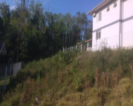 Imagem Terreno à Venda, 375 m² em Recanto Dos Platanos - Nova Petrópolis Imagem Terreno à Venda, 375 m² em Recanto Dos Platanos - Nova Petrópolis