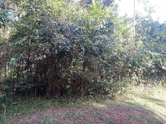 Imagem Terreno em Condomínio à Venda, 1.000 m² em Condomínio Mãe Terra - Brumadinho Imagem Terreno em Condomínio à Venda, 1.000 m² em Condomínio Mãe Terra - Brumadinho