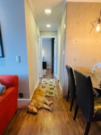 Imagem Apartamento com 2 Quartos à Venda, 64 m² em Vila Leopoldina - São Paulo Imagem Apartamento com 2 Quartos à Venda, 64 m² em Vila Leopoldina - São Paulo