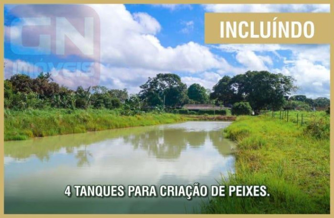 Imagem Fazenda à Venda,  em Castanhal