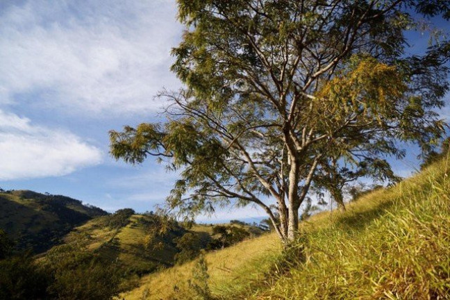 Imagem Fazenda à Venda, 170 m² em Cunha Imagem Fazenda à Venda, 170 m² em Cunha