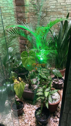 Imagem Sobrado com 3 Quartos à Venda, 125 m² em Jardim Nova Cidade - Guarulhos Imagem Sobrado com 3 Quartos à Venda, 125 m² em Jardim Nova Cidade - Guarulhos