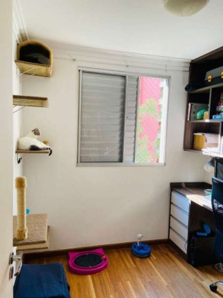 Imagem Apartamento com 3 Quartos à Venda, 67 m² em Vila Suzana - São Paulo Imagem Apartamento com 3 Quartos à Venda, 67 m² em Vila Suzana - São Paulo