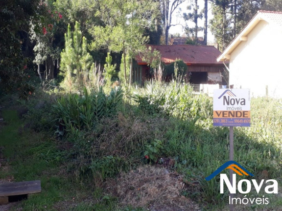 Imagem Imóvel à Venda, 592 m² em Piá - Nova Petrópolis Imagem Imóvel à Venda, 592 m² em Piá - Nova Petrópolis