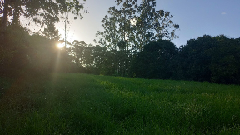 Imagem Imóvel com 2 Quartos à Venda, 28.600 m² em Passo Da Areia - Viamão