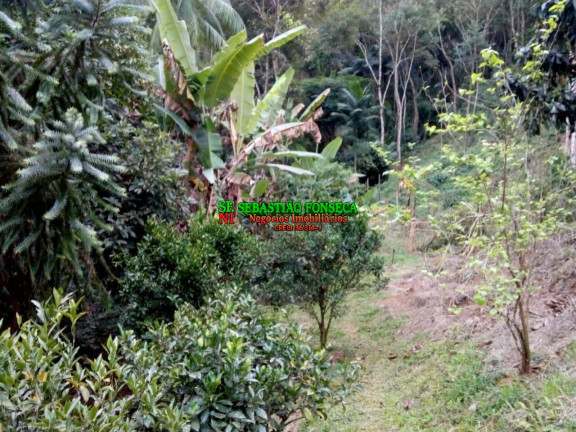 Imagem Chácara à Venda, 2.000 m² em Sob. Consulta - São José Dos Campos Imagem Chácara à Venda, 2.000 m² em Sob. Consulta - São José Dos Campos