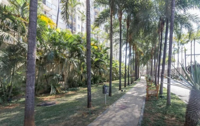 Imagem Apartamento com 2 Quartos à Venda, 60 m² em água Branca - São Paulo Imagem Apartamento com 2 Quartos à Venda, 60 m² em água Branca - São Paulo