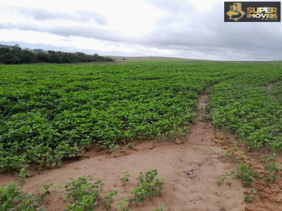 Imagem Imóvel à Venda, 2.000.000 m² em Centro - São Gabriel Imagem Imóvel à Venda, 2.000.000 m² em Centro - São Gabriel