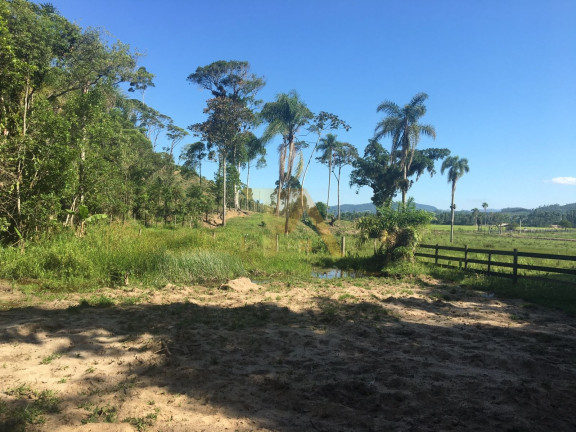 Imagem Fazenda à Venda, 15 m² em Laranjal - Imaruí Imagem Fazenda à Venda, 15 m² em Laranjal - Imaruí