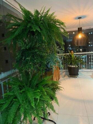 Imagem Apartamento com 3 Quartos à Venda, 260 m² em Vila Andrade - São Paulo Imagem Apartamento com 3 Quartos à Venda, 260 m² em Vila Andrade - São Paulo