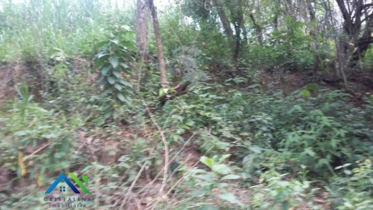 Imagem Terreno à Venda, 1.439 m² em Estância São Paulo - Campo Limpo Paulista Imagem Terreno à Venda, 1.439 m² em Estância São Paulo - Campo Limpo Paulista