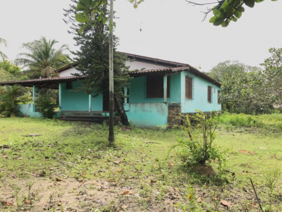 Imagem Fazenda à Venda, 29.077 m² em área Rural De Alagoinhas - Alagoinhas Imagem Fazenda à Venda, 29.077 m² em área Rural De Alagoinhas - Alagoinhas